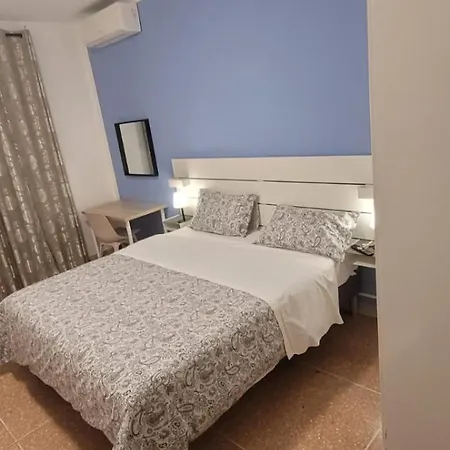 Comfort Pisa